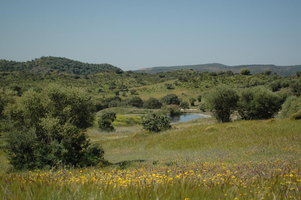 نزل Villafranca de Córdobaفي Albergue Rural De Fuente Agria المظهر الخارجي الصورة
